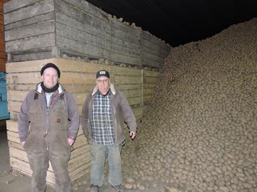 Potato Storage